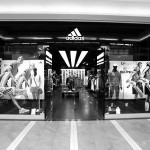 Adidas/Reebok/Nike