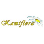 Kwiaciarnia Kamiflora